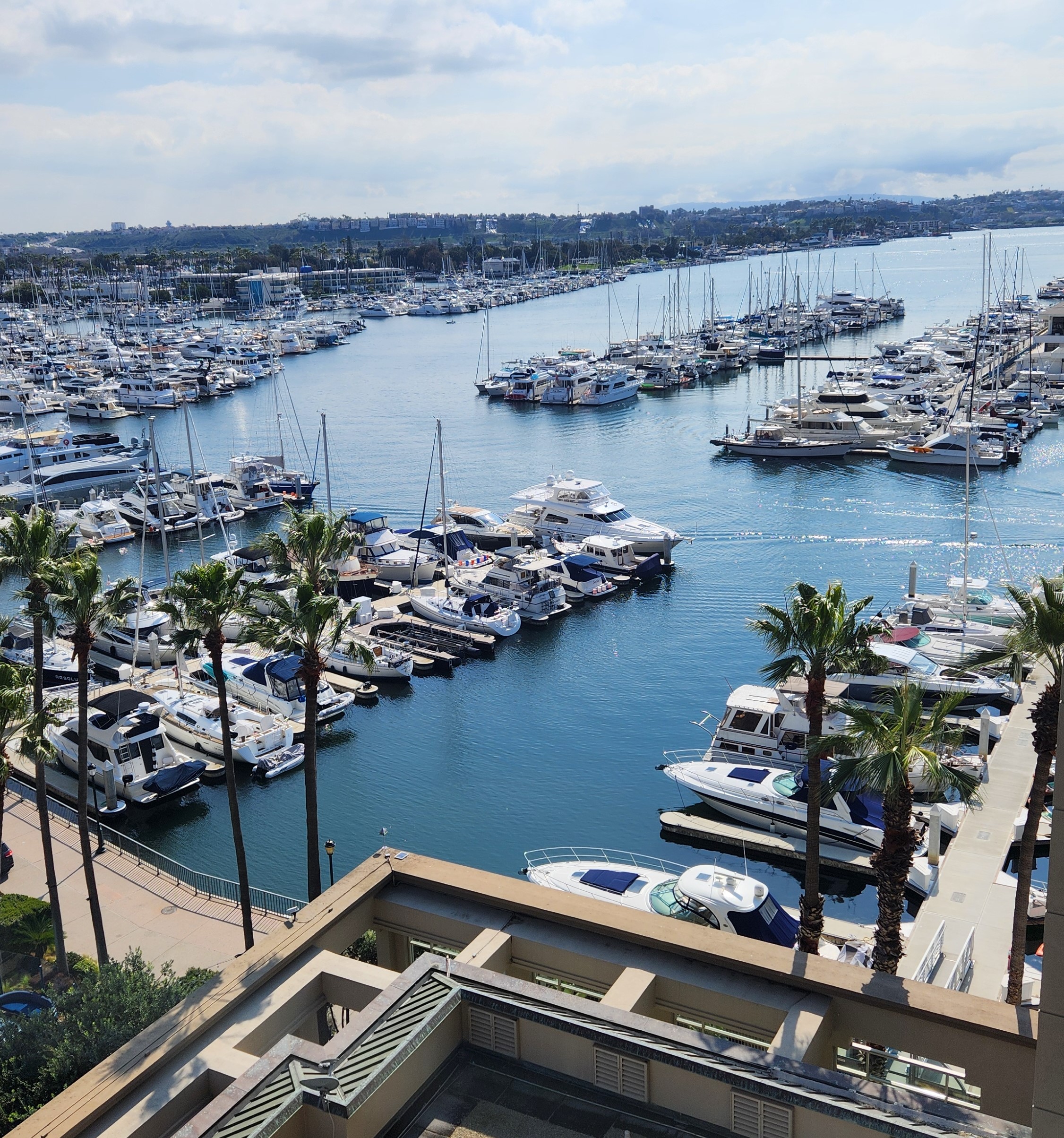 Picture of Marina from height